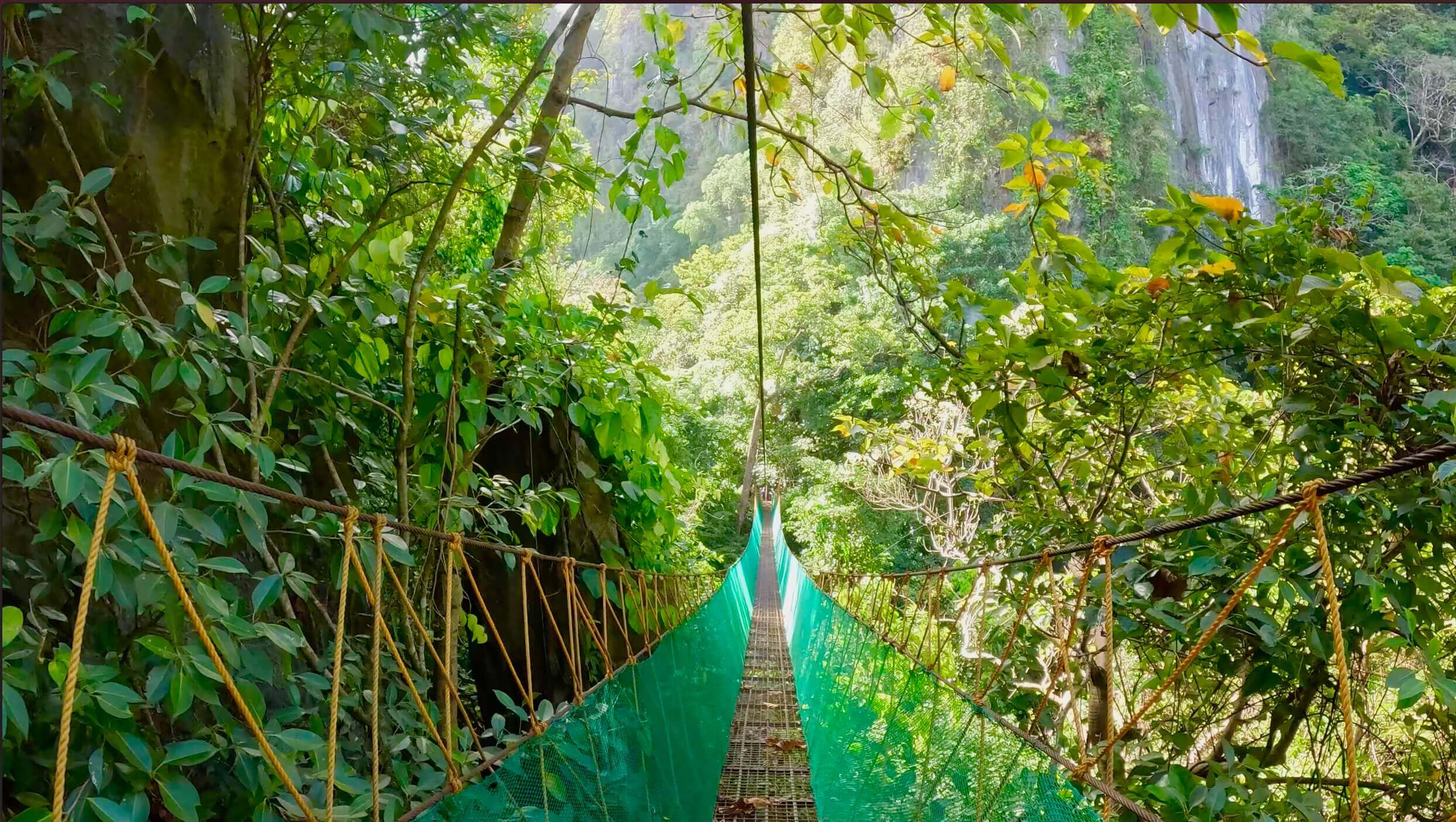 Canopy Walk El Nido Rope Bridge