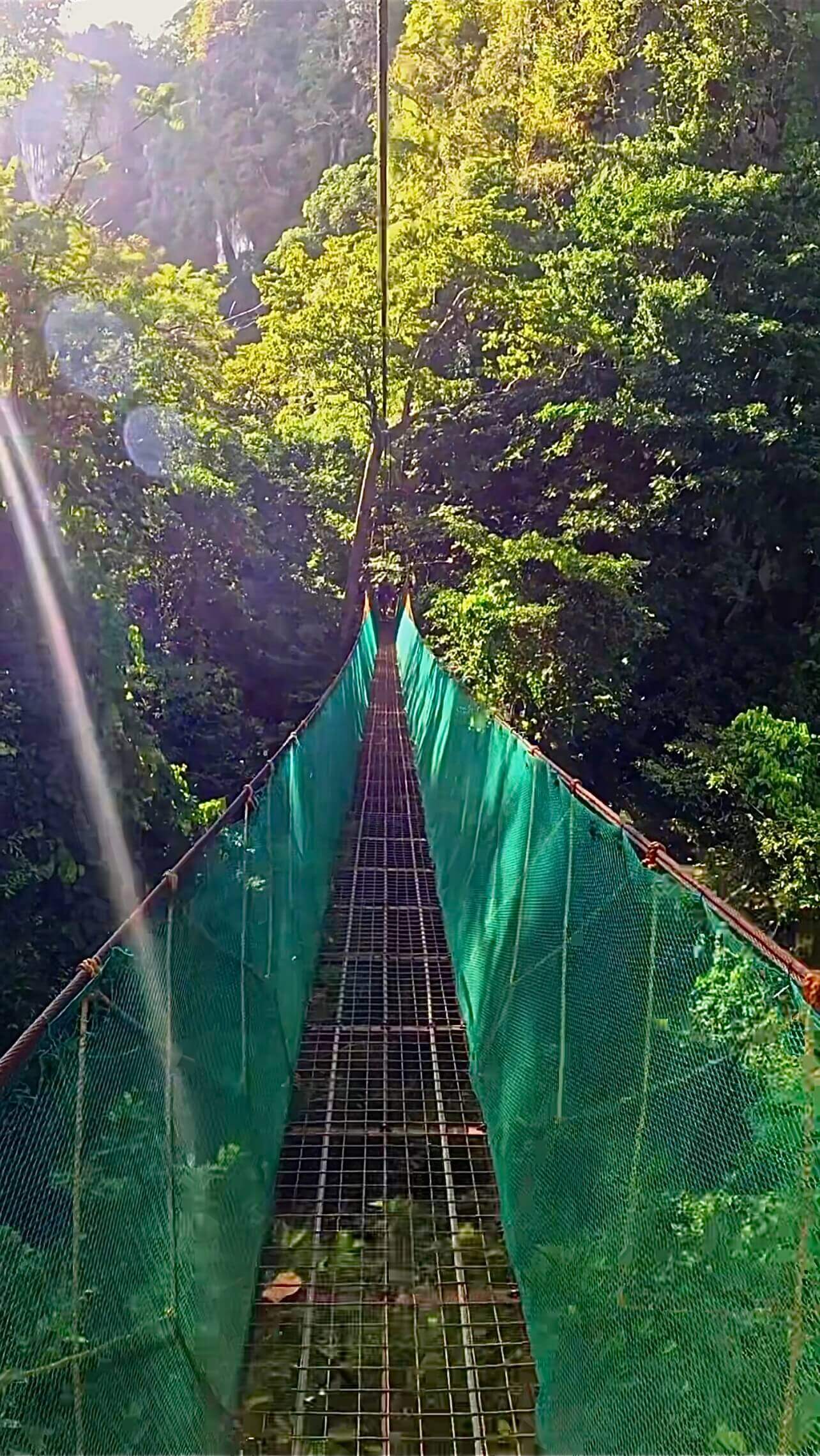 Canopy Walk El Nido Swinging Bridge