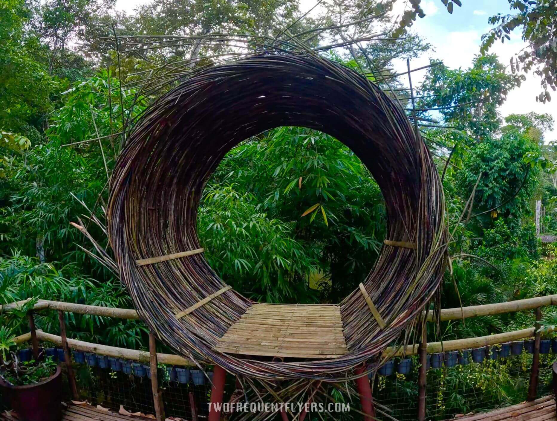 Cacaoyan Forest Park Birds Nest