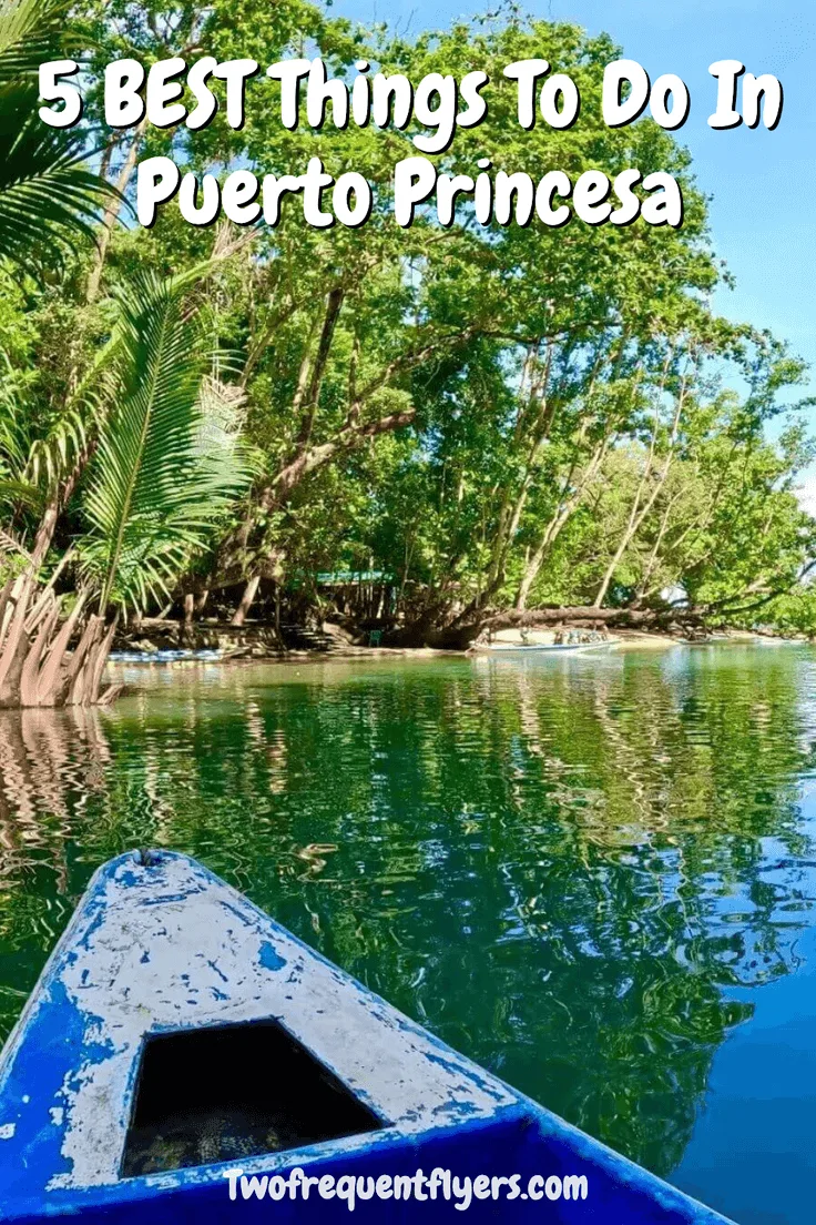 Puerto Princesa Pin