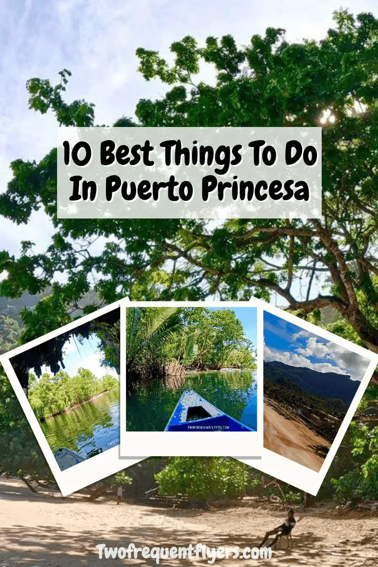 Puerto Princesa Pin