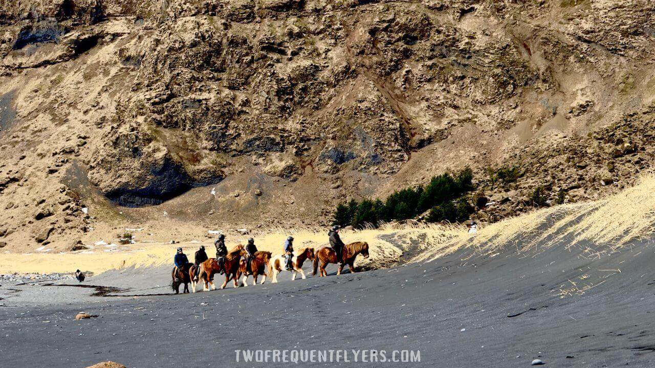 Vik Black Sand Beach Iceland, Horses