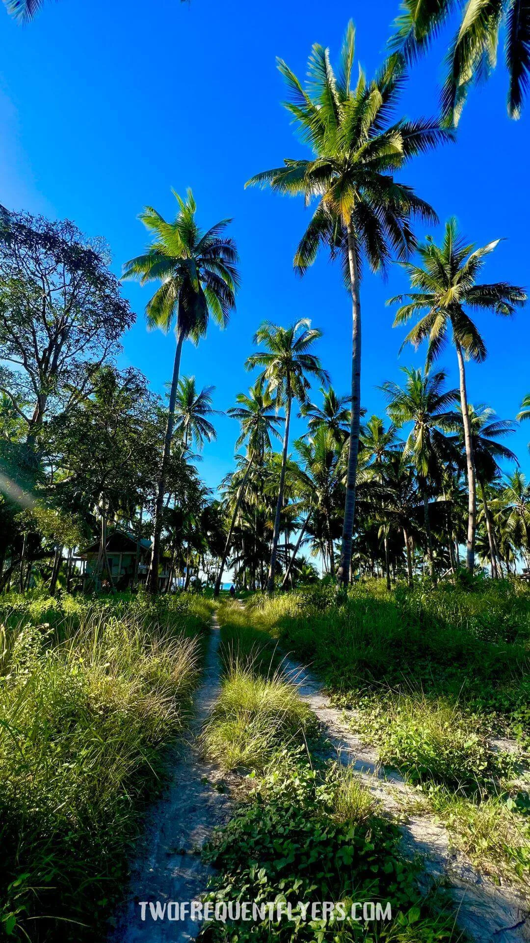 Walk to Bigaho Falls