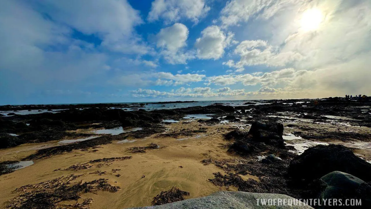 Ytri Tunga Beach Iceland