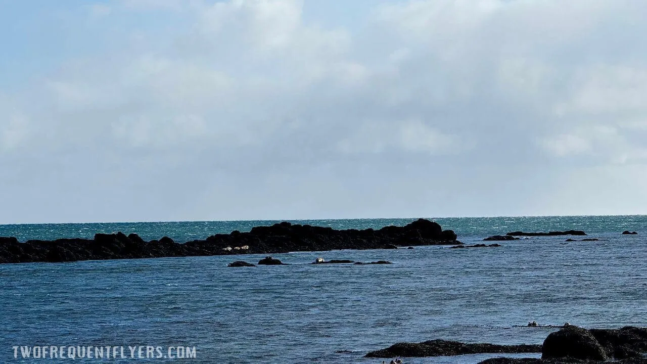 Ytri Tunga Beach u0026 Seal Watching