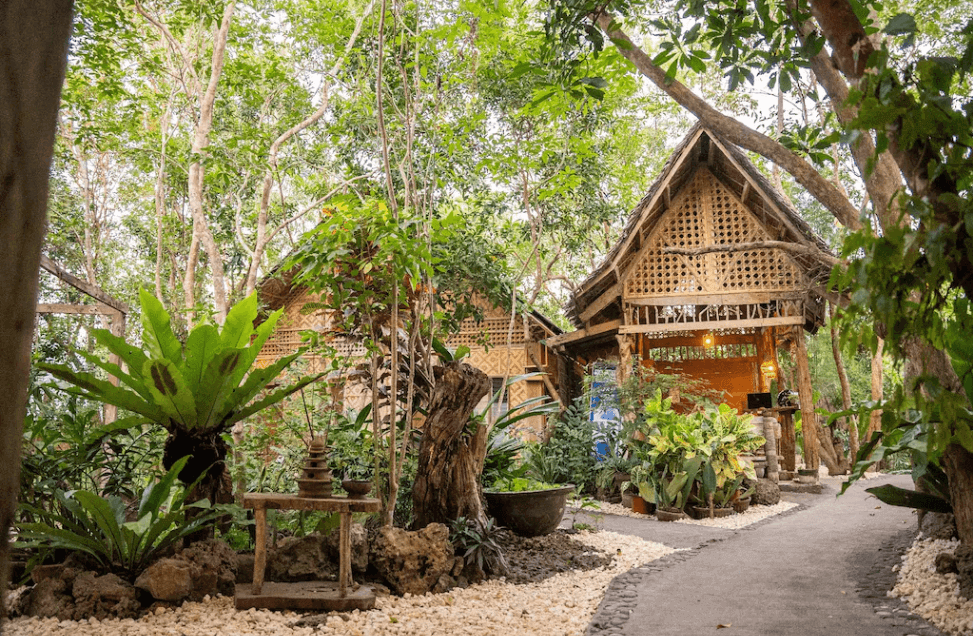 Bohol Coco Farm