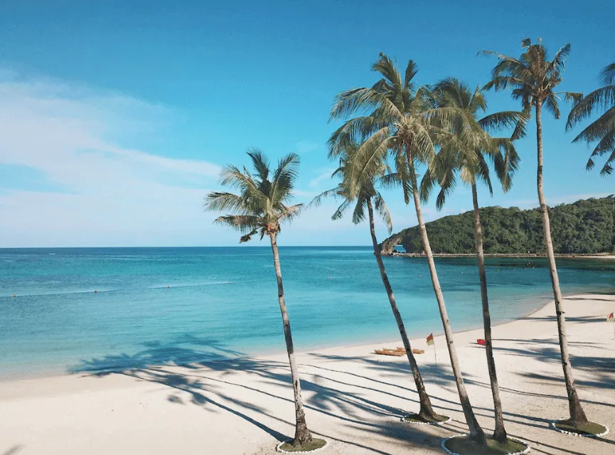 Savoy Hotel Boracay Newcoast Savoy Hotel Boracay Newcoast