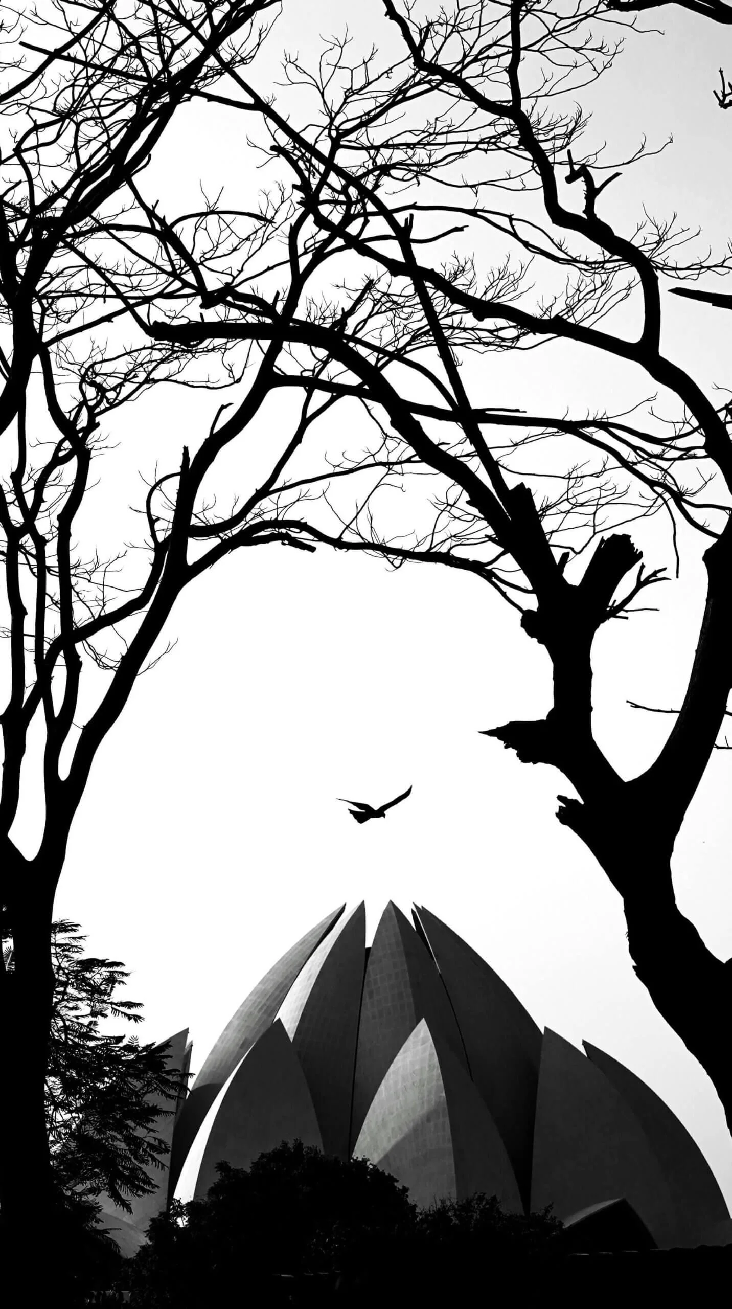 Lotus Temple Delhi India Lotus Temple Delhi India