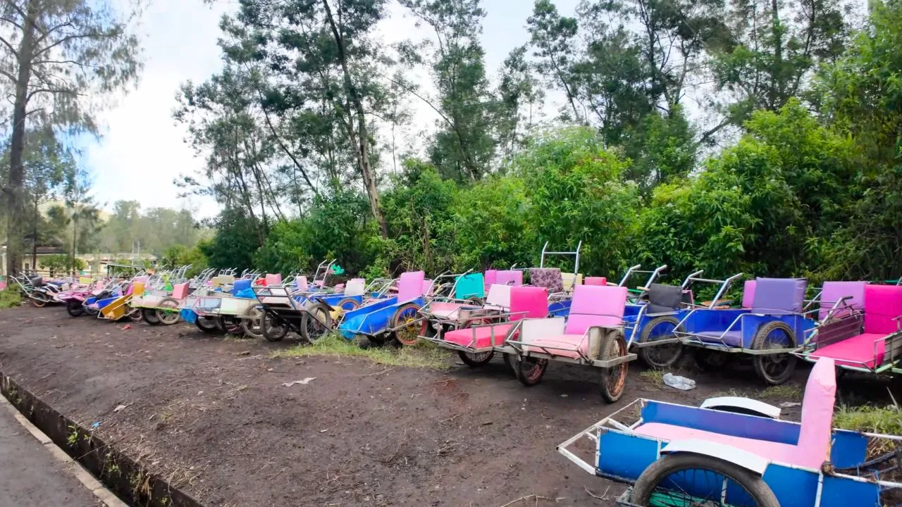 My ijen people carriers