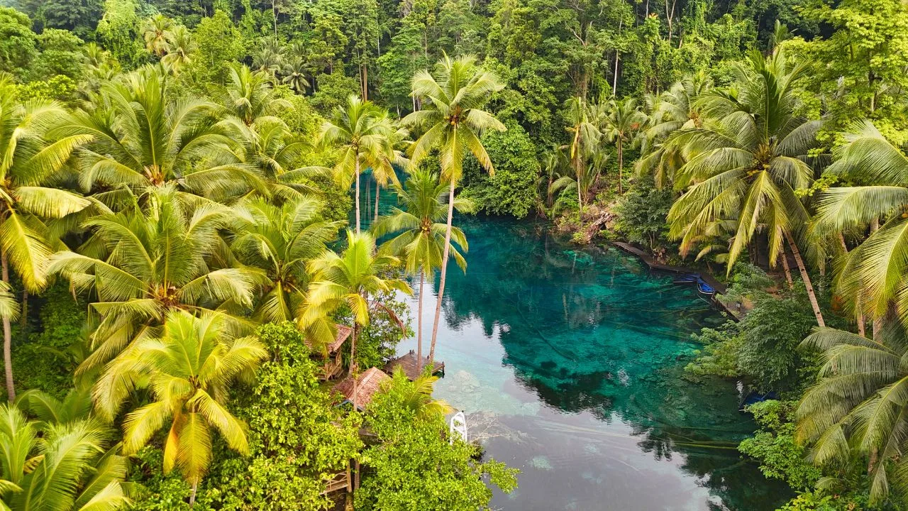 Paisu Pok Lake sulawesi